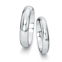 Wedding rings Delight/Heaven in platinum