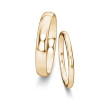 Wedding rings Classic/Eternal in 14K yellow gold