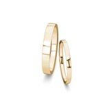 Wedding rings Desire in 14K yellow gold