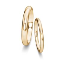 Wedding rings Delight/Heaven in 14K yellow gold