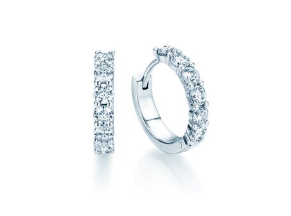 Earrings Dawn in platinum