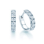 Earrings Dusk in 14K white gold