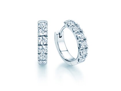Earrings Dusk in platinum