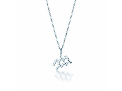Zodiac sign pendant Aquarius in silver 925/-
