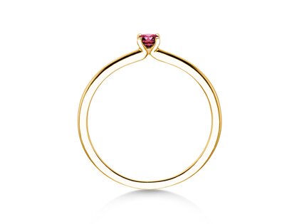 Birthstone ring Classic 4 January in 14K yellow gold with garnet 0.10ct