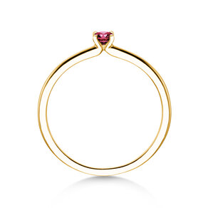 Birthstone ring Classic 4 January in 14K yellow gold with garnet 0.10ct