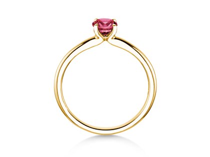 Birthstone ring Classic 4 January in 14K yellow gold with garnet 0.50ct