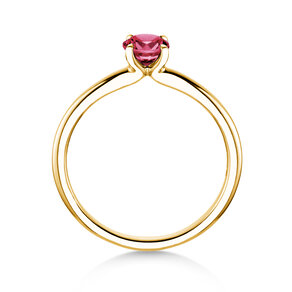 Birthstone ring Classic 4 January in 14K yellow gold with garnet 0.50ct