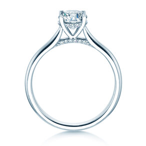 Engagement ring Classic 4 Hidden Halo in white gold