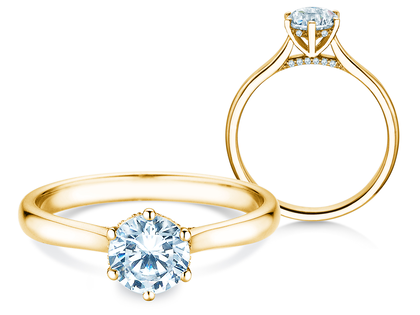 Engagement ring Classic 6 Hidden Halo in yellow gold