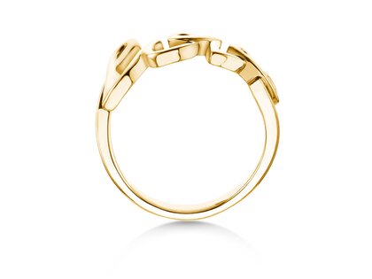 Ring Love Clean in 14K yellow gold polished