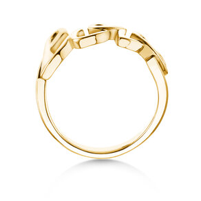 Ring Love Clean in 14K yellow gold polished
