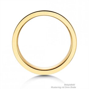Ring for men Modern 2.5mm in 9K yellow gold matt