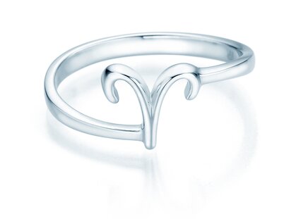 Zodiac ring